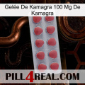 Gelée De Kamagra 100 Mg De Kamagra 18